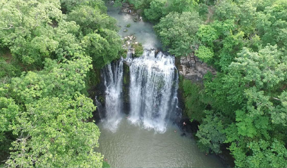 Guanacaste
