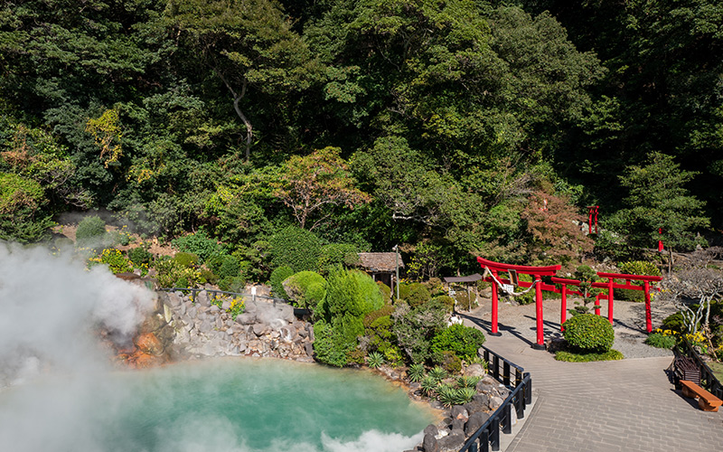 Kyushu Wellness pond